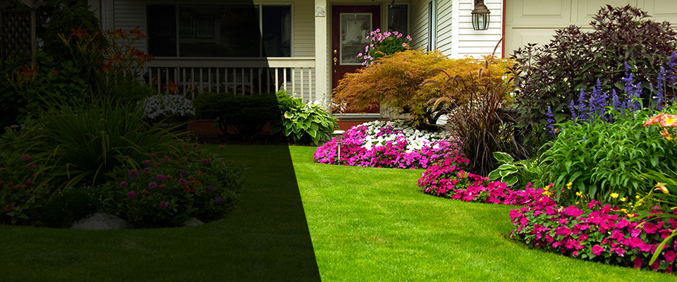 Severn Landscapers
