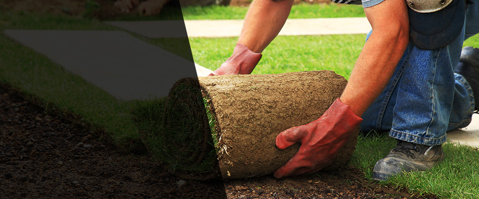 Severn Landscapers